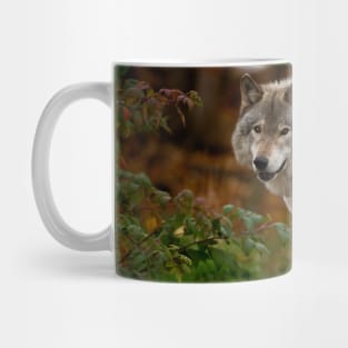 Gray Wolf Mug